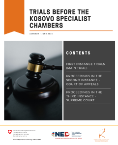 Trials before the Kosovo Specialist Chambers (January - June 2023)