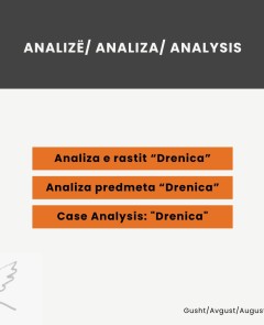 Case Analysis: "Drenica"